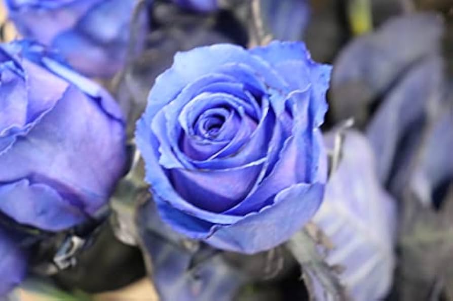 グレー猫ちゃんとメタリックなブルー系薔薇の花畑のハートトップボールペン❤ グレー猫ちゃんとメタリックなブルー系薔薇の花畑のハートトップ